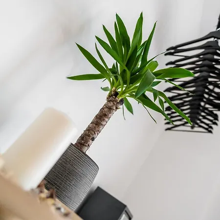Apartamento Centerapartments Wagnerstrasse Düsseldorf