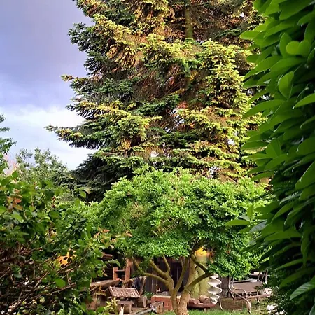 Appartement All-in-one Mit Eigener Sonnenterrasse Im Garten *