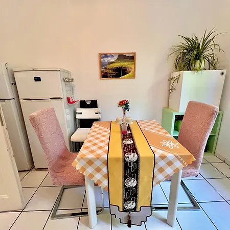 公寓 Cozy 2-room-apartment On Zoo Park In District 2