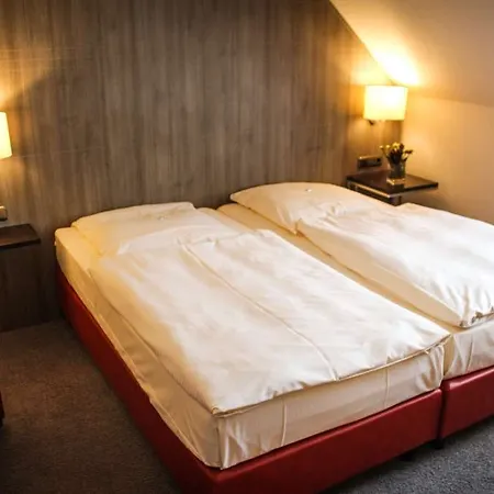 City Hotel Duesseldorf 3* דיסלדורף