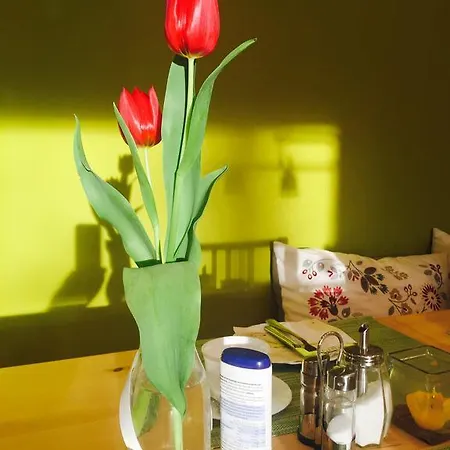 Lejlighedshotel Apartmenthaus Sonnen *