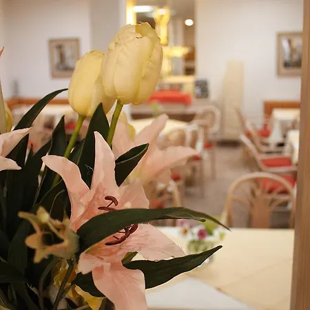 City Hotel Duesseldorf 3* דיסלדורף