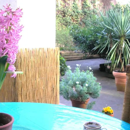Down-town-oasis Apartament *