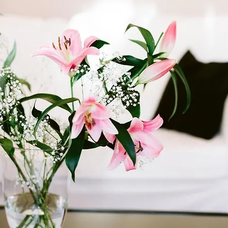 Boutique Oberkassel Отель 3*