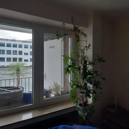 2 Bed/2 Baths In Center Next To Kytaro *