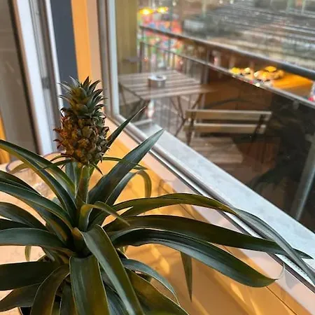 Daire Mit Wohnkuche & Balkon *