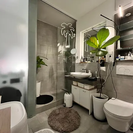 Separate Privat In Shared With 2 Cats And 1 Person Düsseldorf