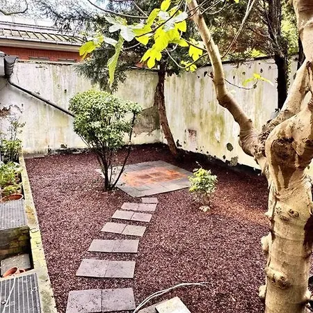 Cosy & Flat Near Center 公寓 杜塞尔多夫