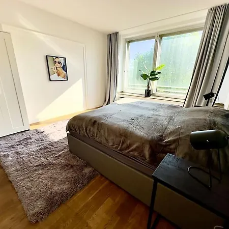 Spectecular Rhineview Fair Parking Luxury 12 Pers Apartamento Düsseldorf