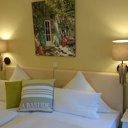 Hotel Villa Verde ホテル デュッセルドルフ
