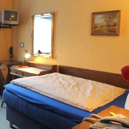 Adler Hotel 3*