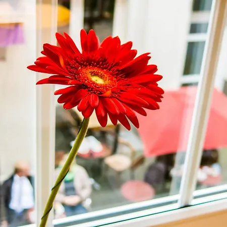 The Soho Altstadt Relais Hotel 3*