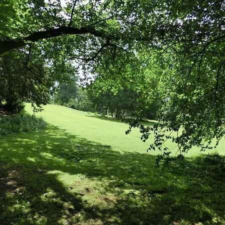 Apartament Modernes, Sonniges Im Herzen Von Düsseldorf