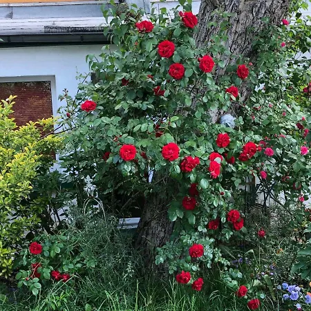 Ferienwohnung Am Schloss Eller - Karlsruher Strasse Apartamento