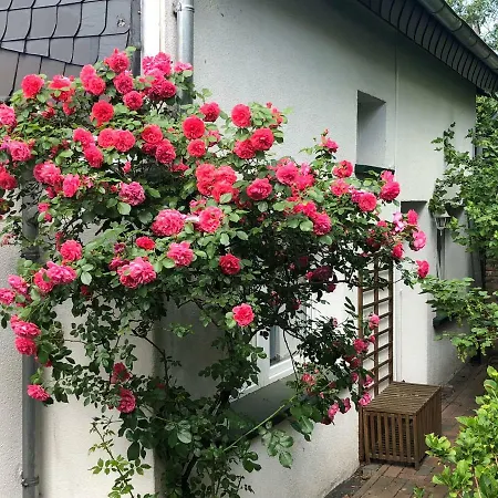 Ferienwohnung Am Schloss Eller - Karlsruher Strasse Apartamento Düsseldorf