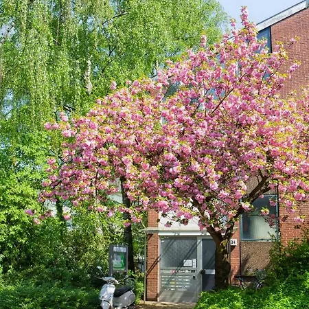 A&a Am Langen Weiher * 杜塞尔多夫