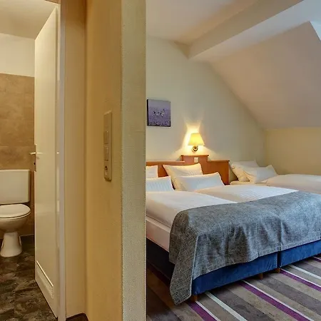 Sure By Western Ambassador Hotel 3*
