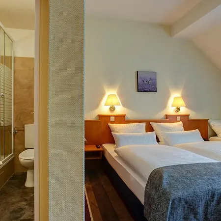 Hotel Sure By Western Ambassador