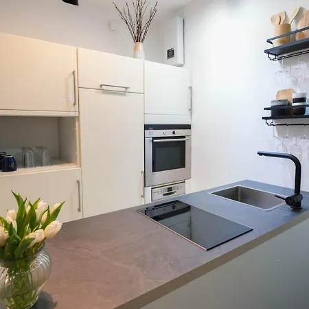 Tanic Deluxe Garden Industrial Fair Apartament Düsseldorf