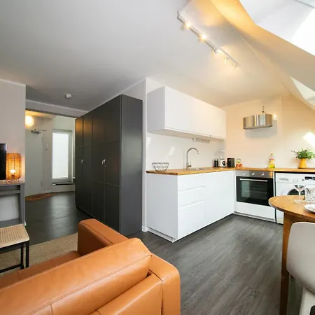 Favorite -suite And - Altstadt Apartment