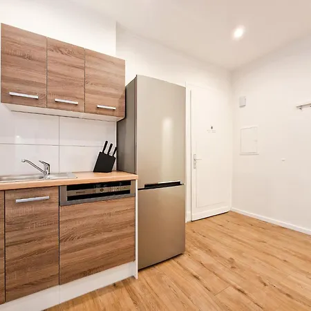 Raj Living - 1 Or 3 - 20 Min Messe Dus And Old Town Dus Appartement