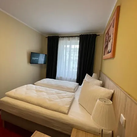 Palm Premium & Düsseldorf