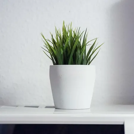 Apartamento Comfort Düsseldorf