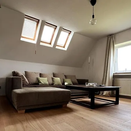 Appartement Gemuetliche In Rheinnaehe