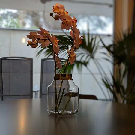 Apartamento P23