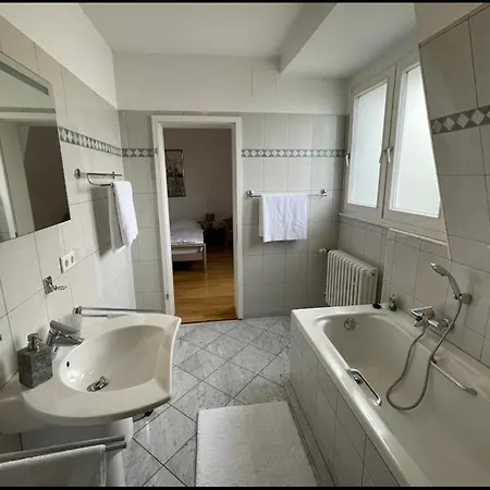 公寓 Luxury Rooftop Loft With River View 10min To City 杜塞尔多夫