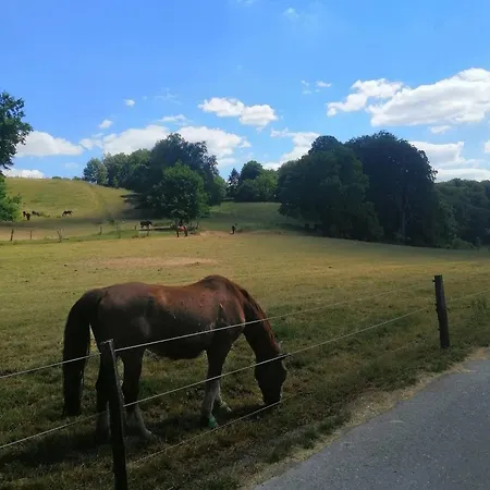 Elegant In Ludenberg Düsseldorf