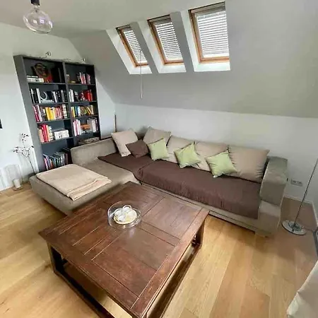 Appartement Gemuetliche In Rheinnaehe *