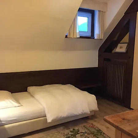 Haus Litzbruck 杜塞尔多夫