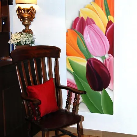 Haus Litzbruck 3* 杜塞尔多夫